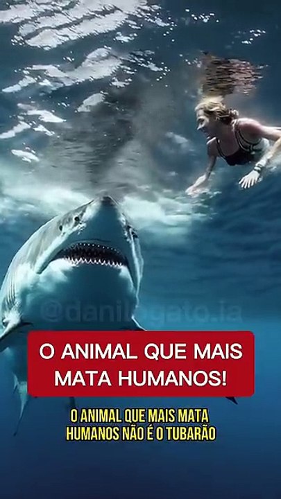 Animais selvagens mais PERIGOSOS do mundo