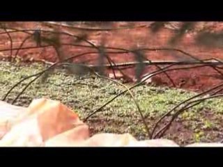 The Association for the Development of Rural capacities (Leb