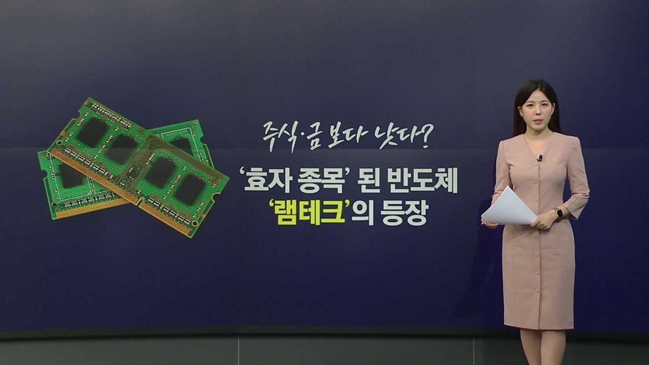 AI 열풍에 ’칩플레이션’...금값 상승률 앞지르며 ’램테크’ 등장 [앵커리포트] /...