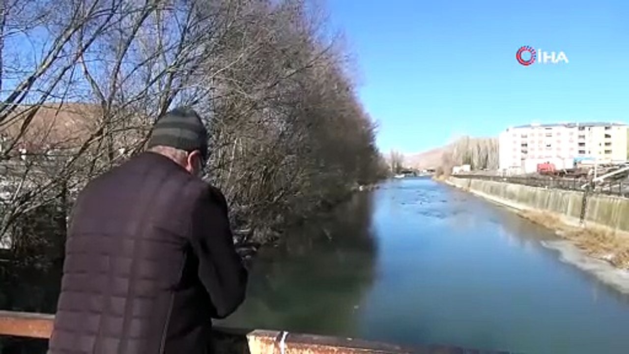 Sibirya’dan göç eden yeşilbaşlı ördekler Çoruh Nehri’ni mesken tuttu