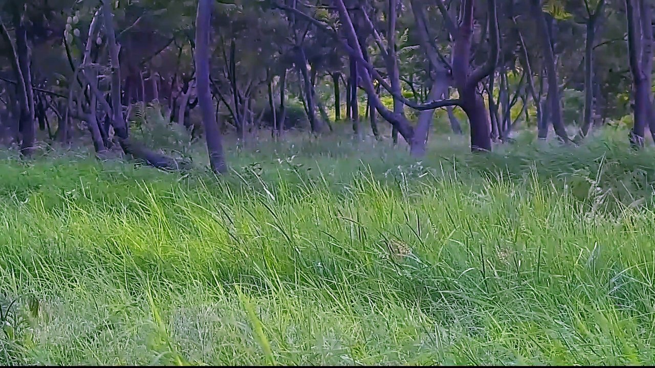 Jharokh (2023) Malayalam Part-01