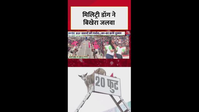 अटारी बॉर्डर पर मिलिट्री डॉग्स ने बिखेरा जलवा
