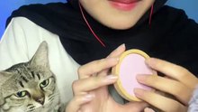 Terlihat dia bahagia banget ya bund ☺️🙏🏻 #asmr #asmrcat #asmrindonesia #salsaasmr