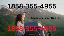 Coinbase® {Help Desk Wallet SuppoRt}™ — Toll-Free Numbers & Support Options