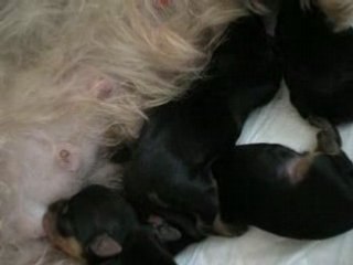 DSCN0637