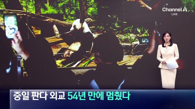 중일 판다 외교, 54년 만에 멈췄다