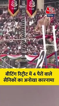 अटारी बॉर्डर: देशी डॉग्स का कमाल देख रह जाएंगे हैरान