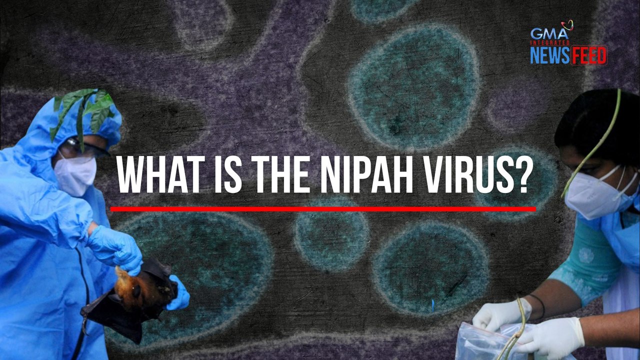 What is the Nipah virus? | GMA Integrated Newsfeed
