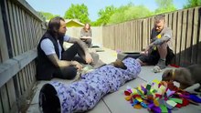 Pete Wicks For Dogs' Sake Season 3 Episode 2