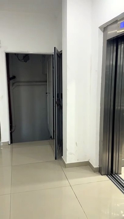 Murciélago gigante causa terror en un edificio en Paraná