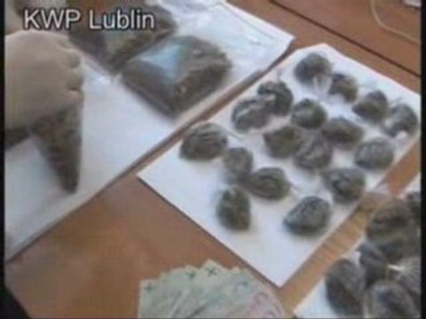 Konopie za 28 tys. zł w szafie