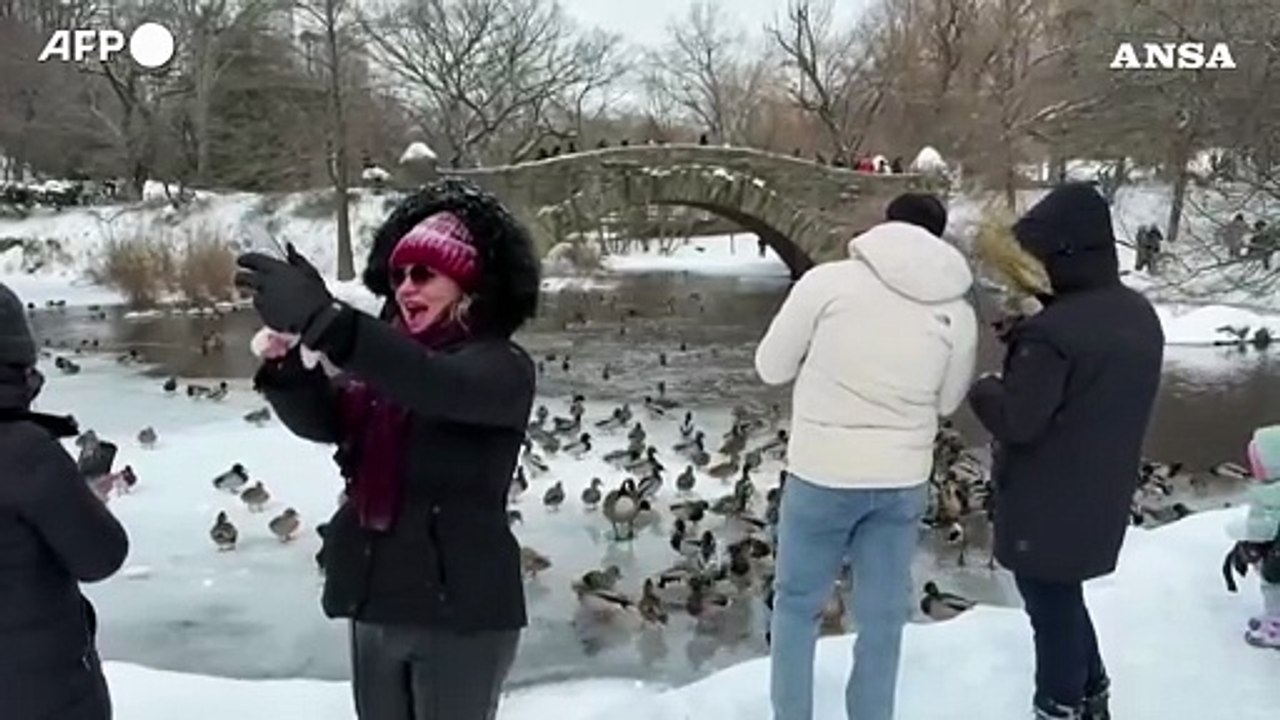Non solo disagi, lo spettacolo di New York sotto la neve