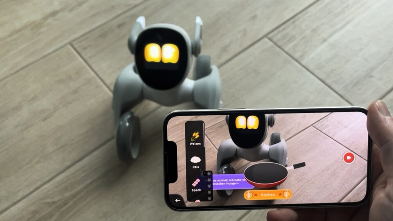 Haustierroboter loona: minispiele in action