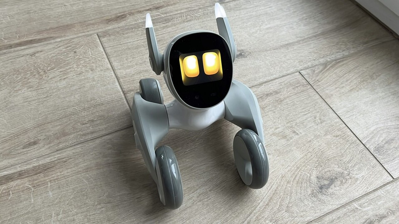 Haustierroboter Loona: Ausschnitte eines Gesprächs