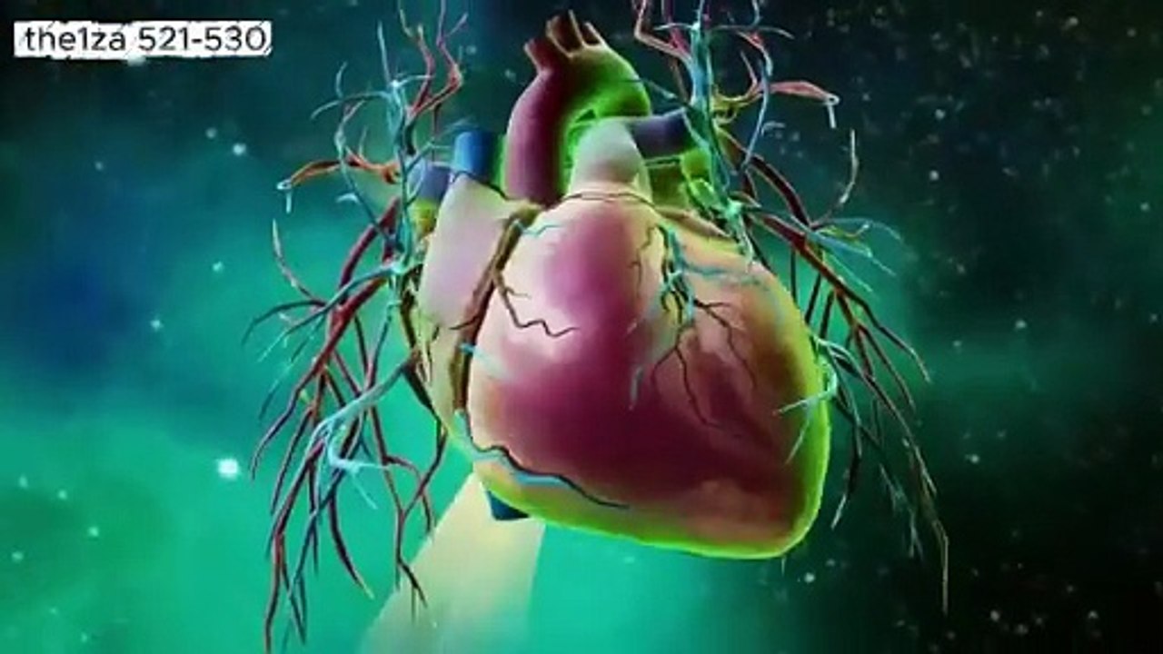 อนิเมะจีน อนิเมะจีน 521-530