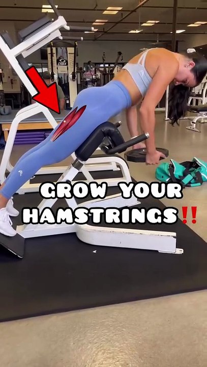 360° Lower Body Transformation - Ultimate Glute & Leg Routine