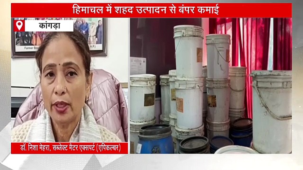 हिमाचल में शहद उत्पादन से बंपर कमाई, सालाना 800 मीट्रिक टन हो रहा उत्पादन