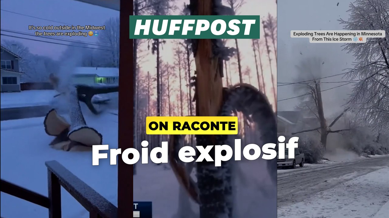 L'explication scientifique derrière les arbres qui "explosent" avec le froid aux Etats-Unis