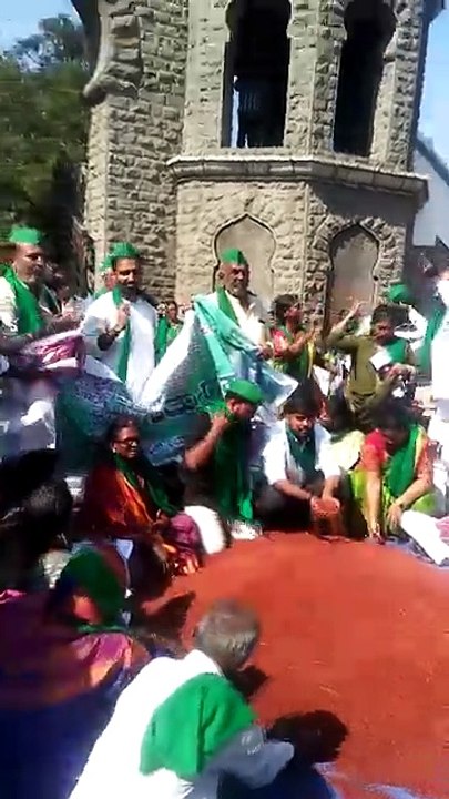 Jai Jawan Jai Kisan l Sugarcane & Togari Farmer l Protest at DC Office  #protestfarmer #satyagraha #atdcoffice.(IDC)