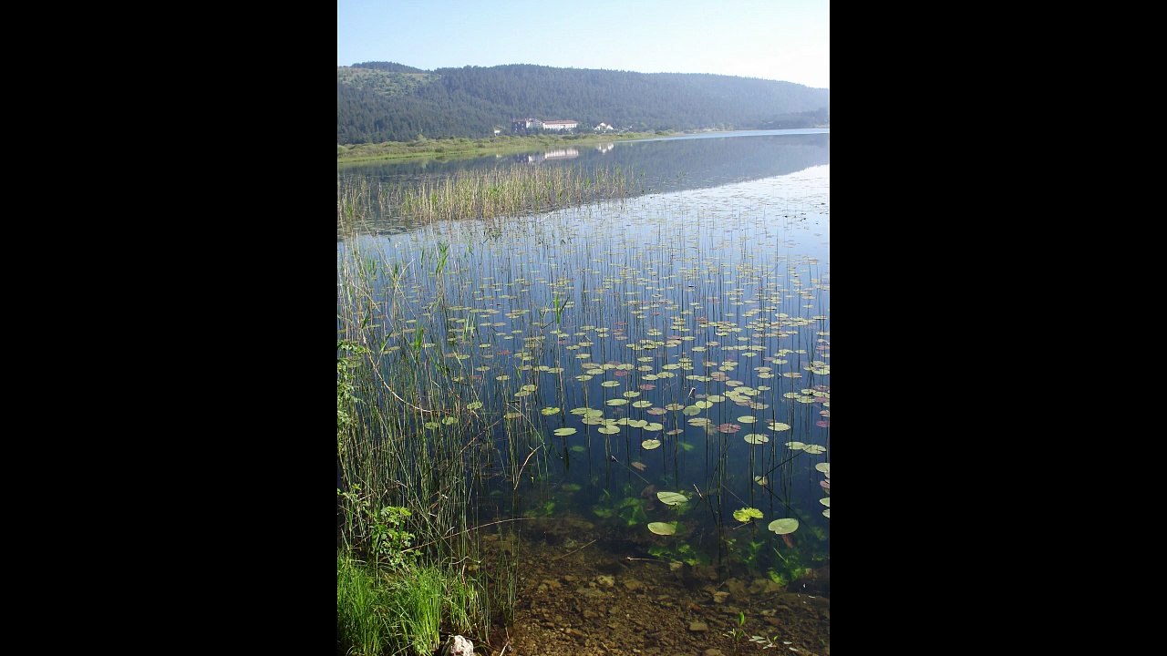 Keman - Söyleyemem Derdimi