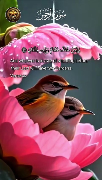 Surah Ar-Rahman (سورة الرحمن)Heart touching Quran