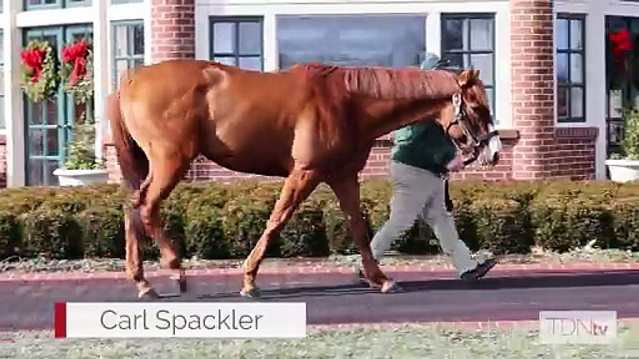 Carl Spackler