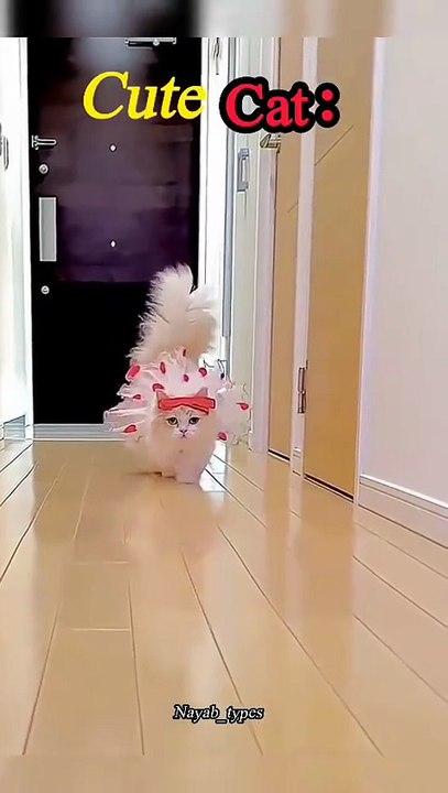 Cute