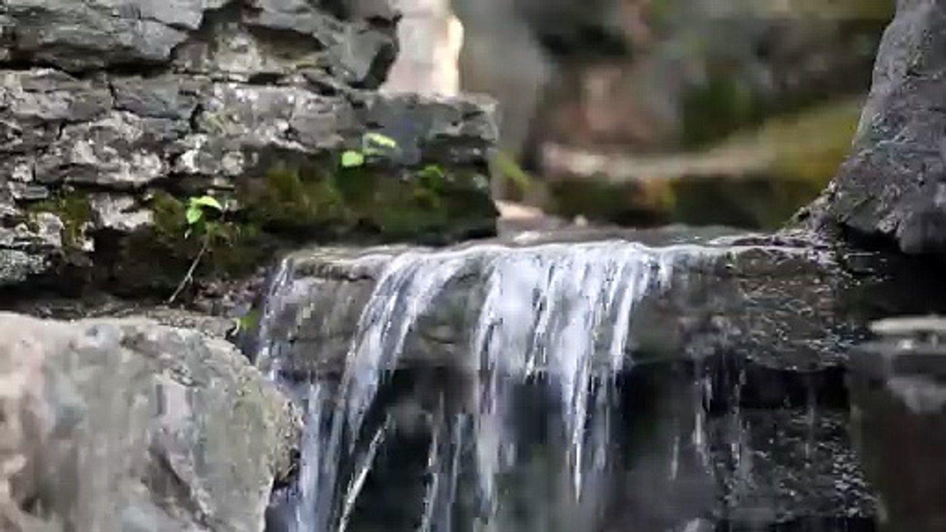 ⁣Soft Background Music for Calm Awareness