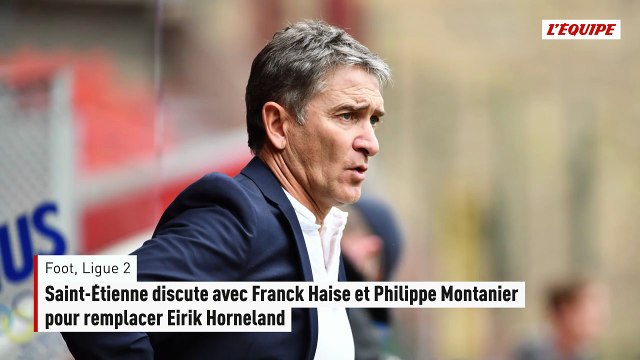 Saint-Étienne discute avec Franck Haise et Philippe Montanier pour remplacer Eirik Horneland - Foot - Ligue 2