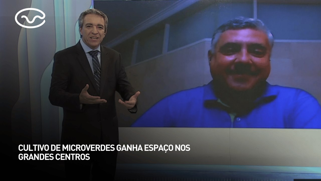 Cultivo de microverdes ganha espaço nos grandes centros