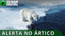 Ártico entra em uma “nova era” de extremos climáticos sem precedentes