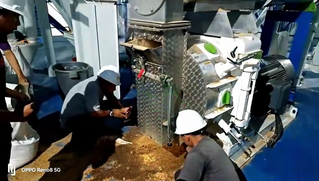 Pellet Machine for Aquaculture Feed Production Line | Stable Output & Uniform Pellets