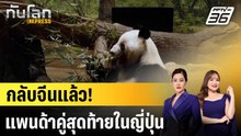 แพนด้าคู่สุดท้ายในญี่ปุ่นออกเดินทางกลับจีน |ทันโลก EXPRESS | 28 ม.ค. 69