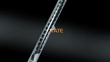 1000w Half White IR Carbon Fiber Heating Lamp with SK15 Ceramic