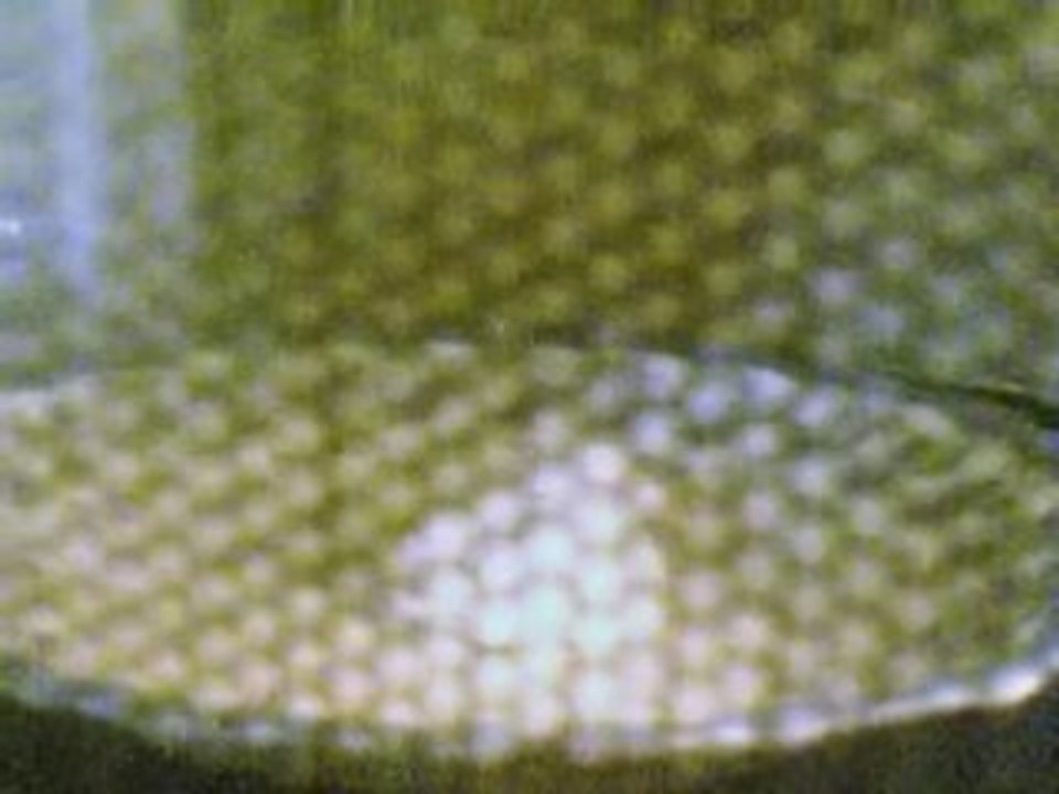 Aswix n°2