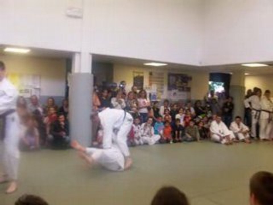 Jean et Séb Démo Judo  La Pauline 24 mai 08