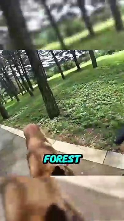 #viral #facts #shorts #reels #english #unitedstates #real #trendingnow (3)