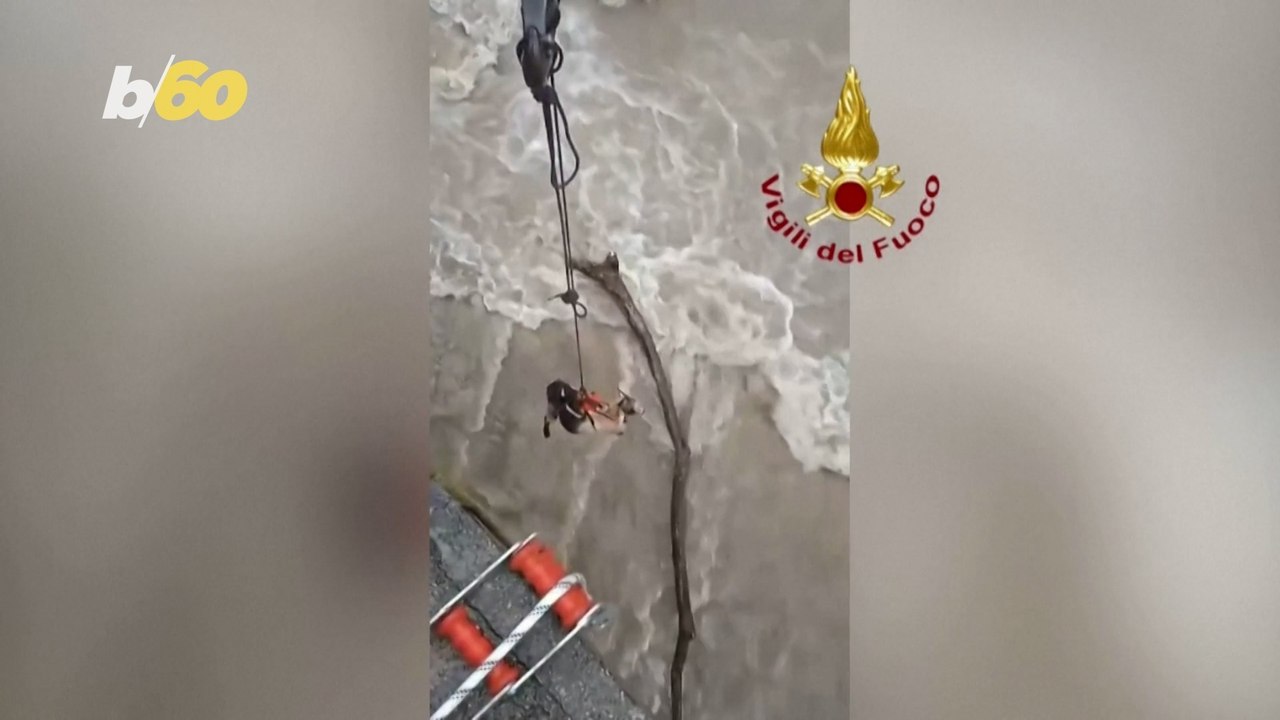 Italian Firefighters Step In to Rescue Animals...