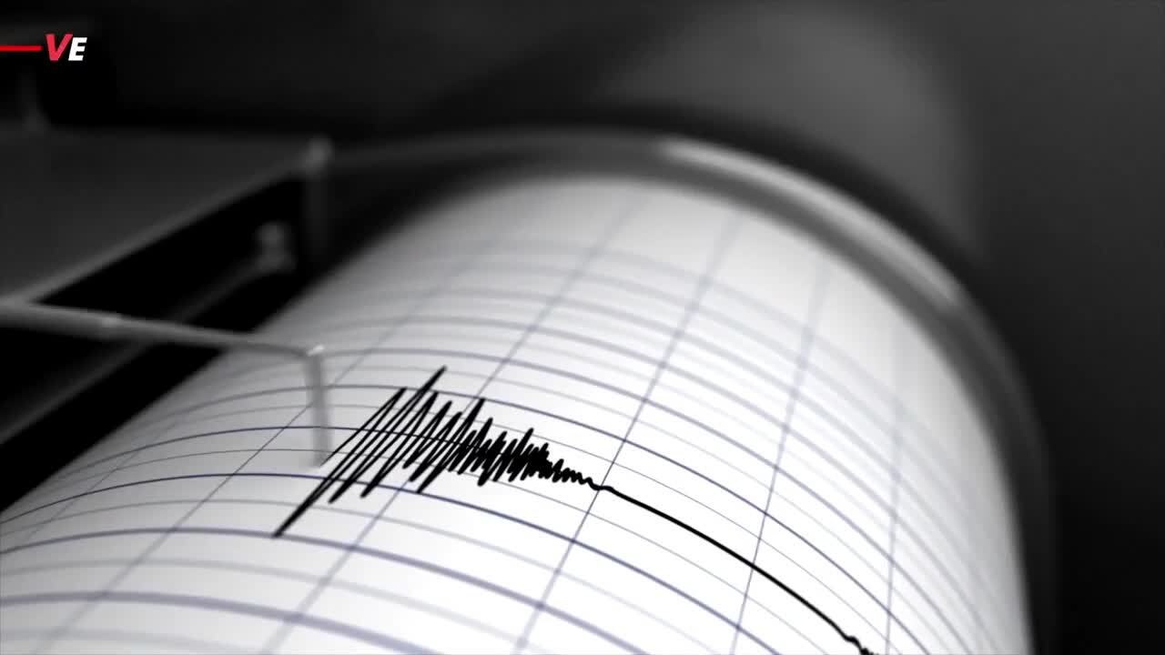 Could Earthquakes Actually Be Helping Trees Grow?