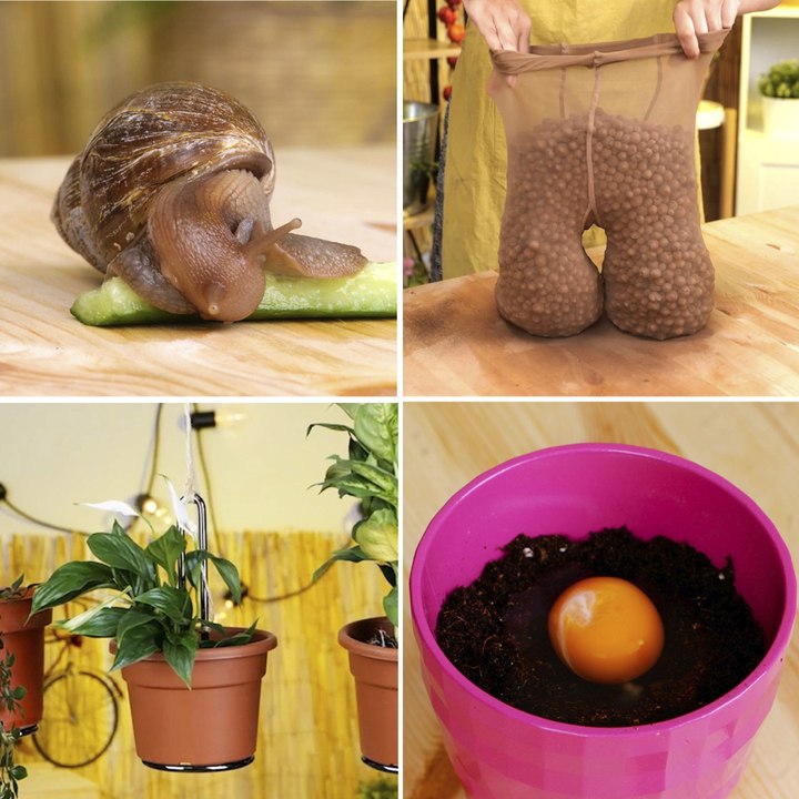 We have a plant hack for every occasion 🌸  #planting #diy #gardening #plants