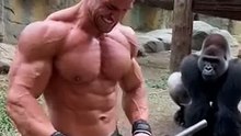 Real Strength Test Bodybuilder vs Gorilla (Steel Rod Challenge)