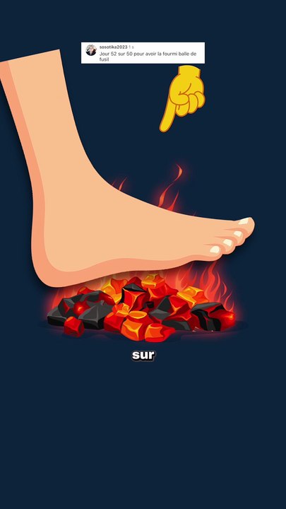 24h de DOULEUR absolue ! #fourmis #douleur #insecte #animaux #nature