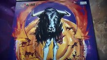 feria olivenza carteles