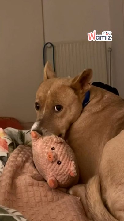 Fiona Rescue
