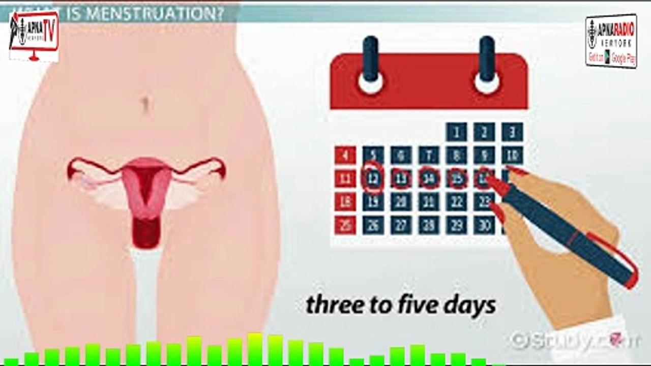 What is MENSTRUATION really? 28-01-2026