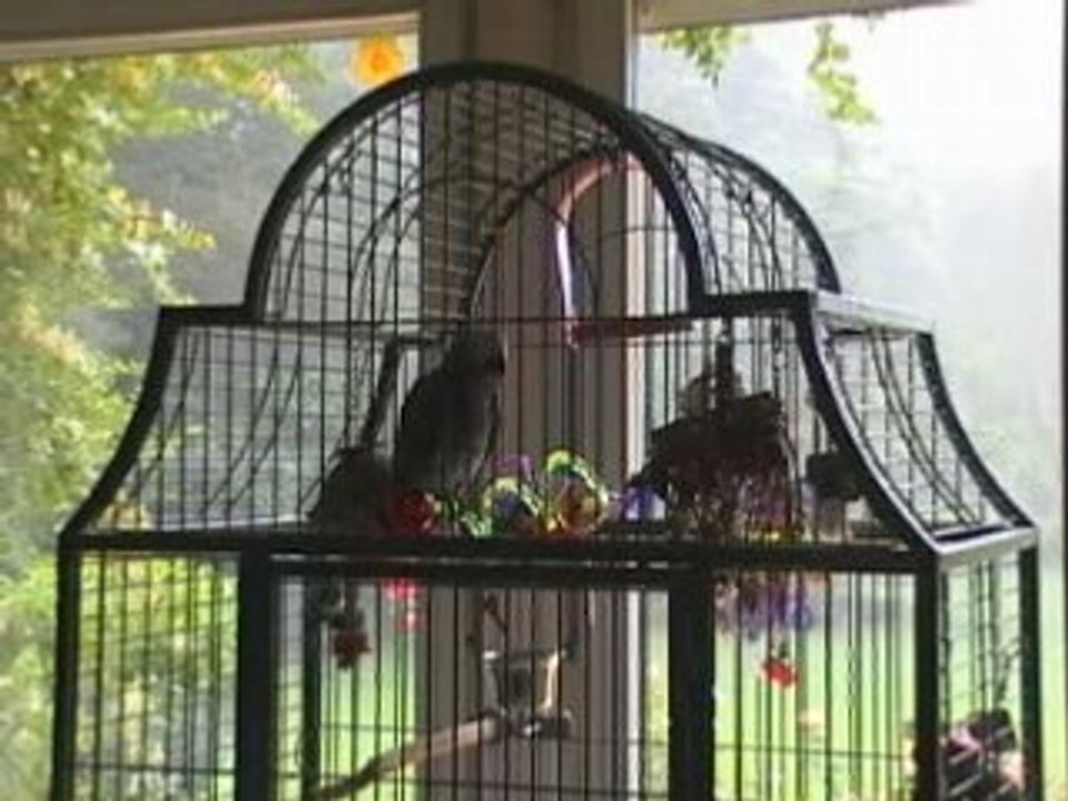 Pommes poires scoubidou ah