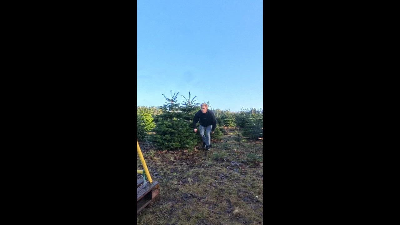 Denmark: Jumping Through a Christmas Tree Netting Machine