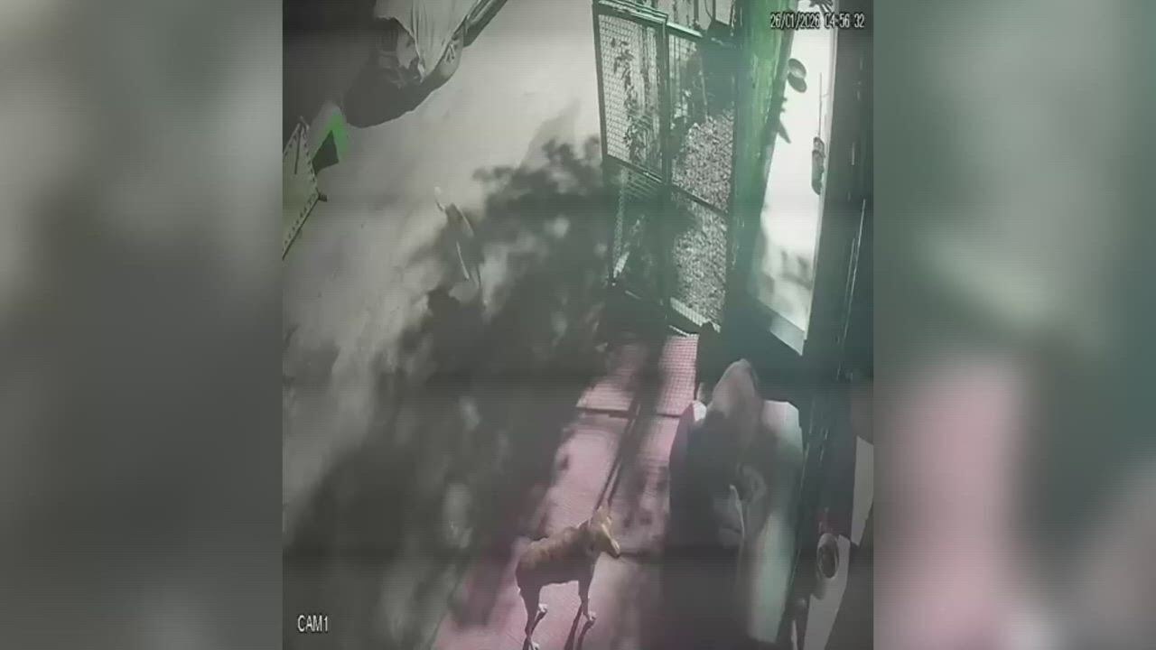 India: 75-year-old woman attacked outside home as gold chain snatched in brutal robbery