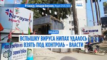 Что известно о случаях вируса Нипах в Индии