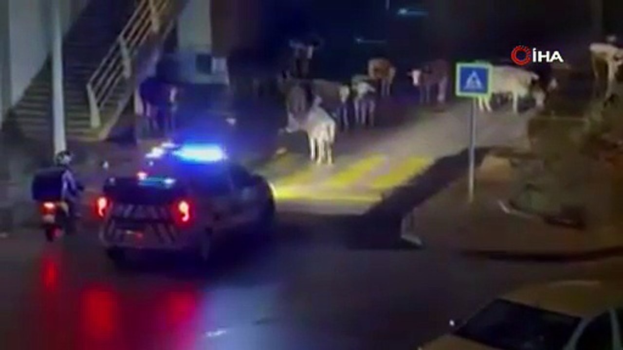 İzmir'de polisin